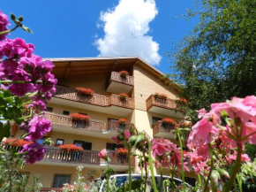 Отель Cimon Dolomites Hotel  Предаццо